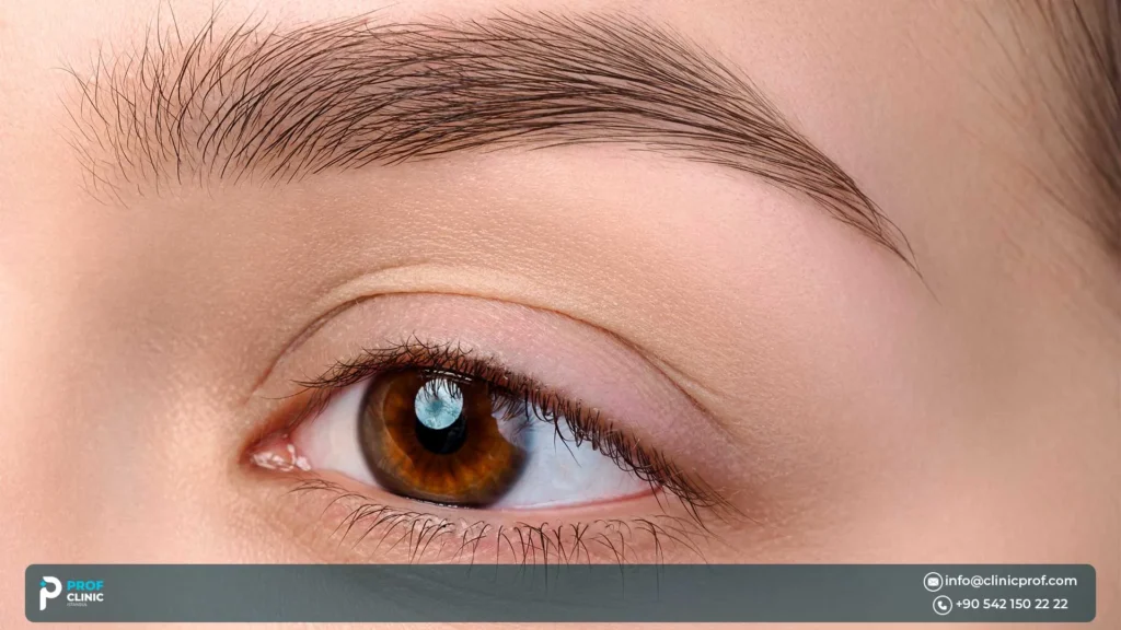 Is Eyebrow Hair Transplant Permanent? Longevity, Success Rate & Maintenance