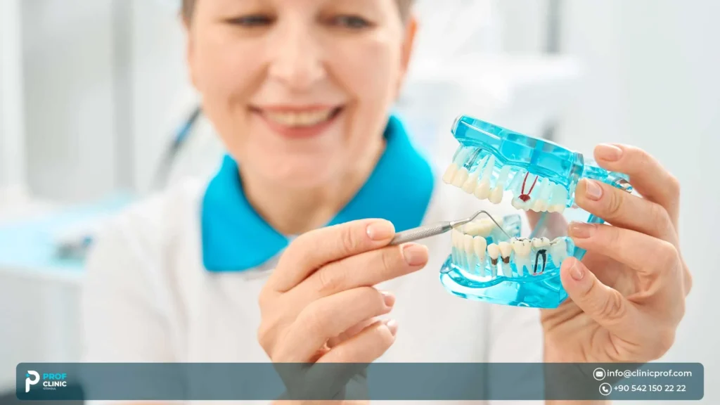 كيف تختار الحل الأنسب؟ مقارنة بين الأنواع الرئيسية