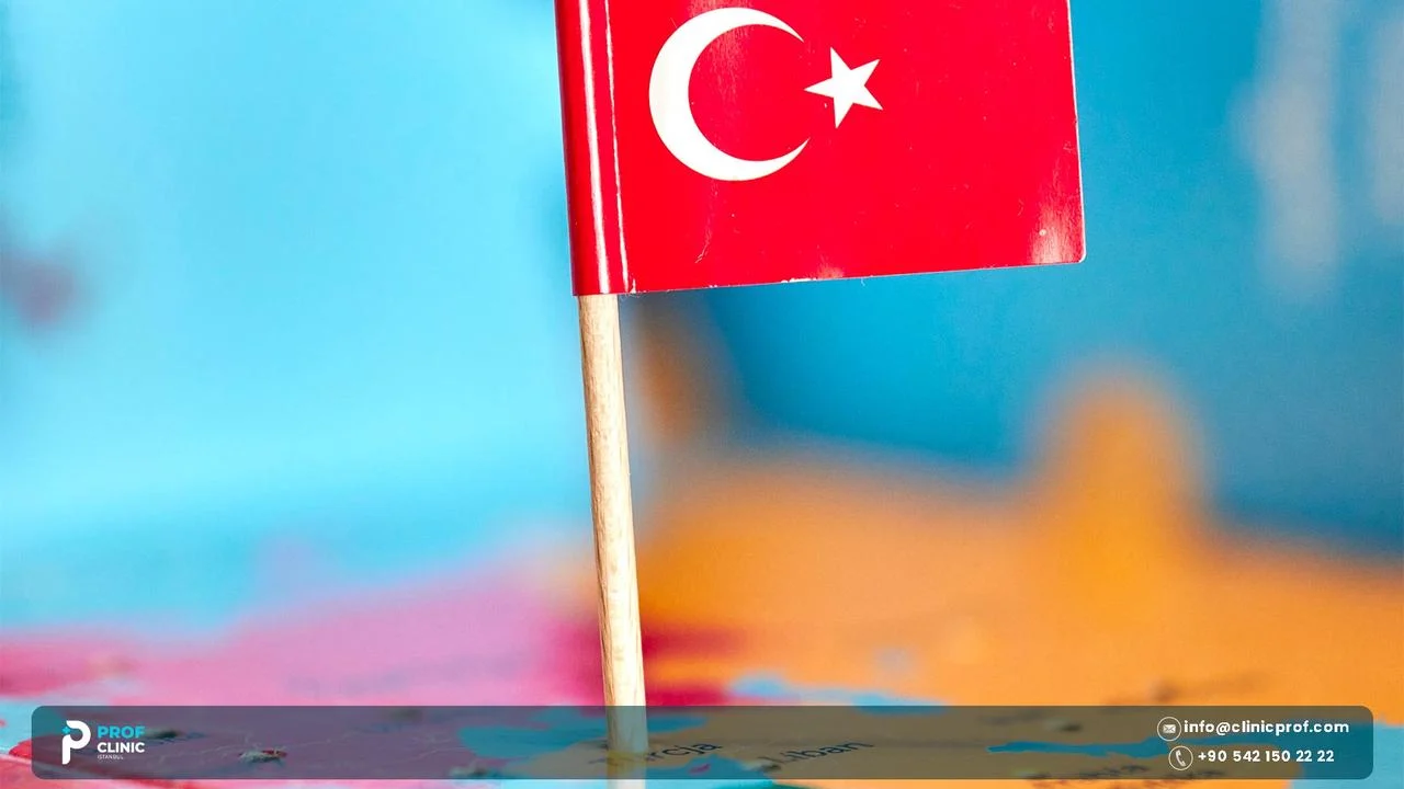 Turkey Health Tourism Statistics: What the Official Numbers Show 3 Small Turkish flag standing on a map